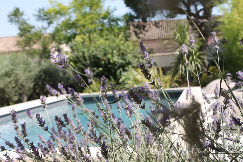 gite avignon piscine mas du félibre